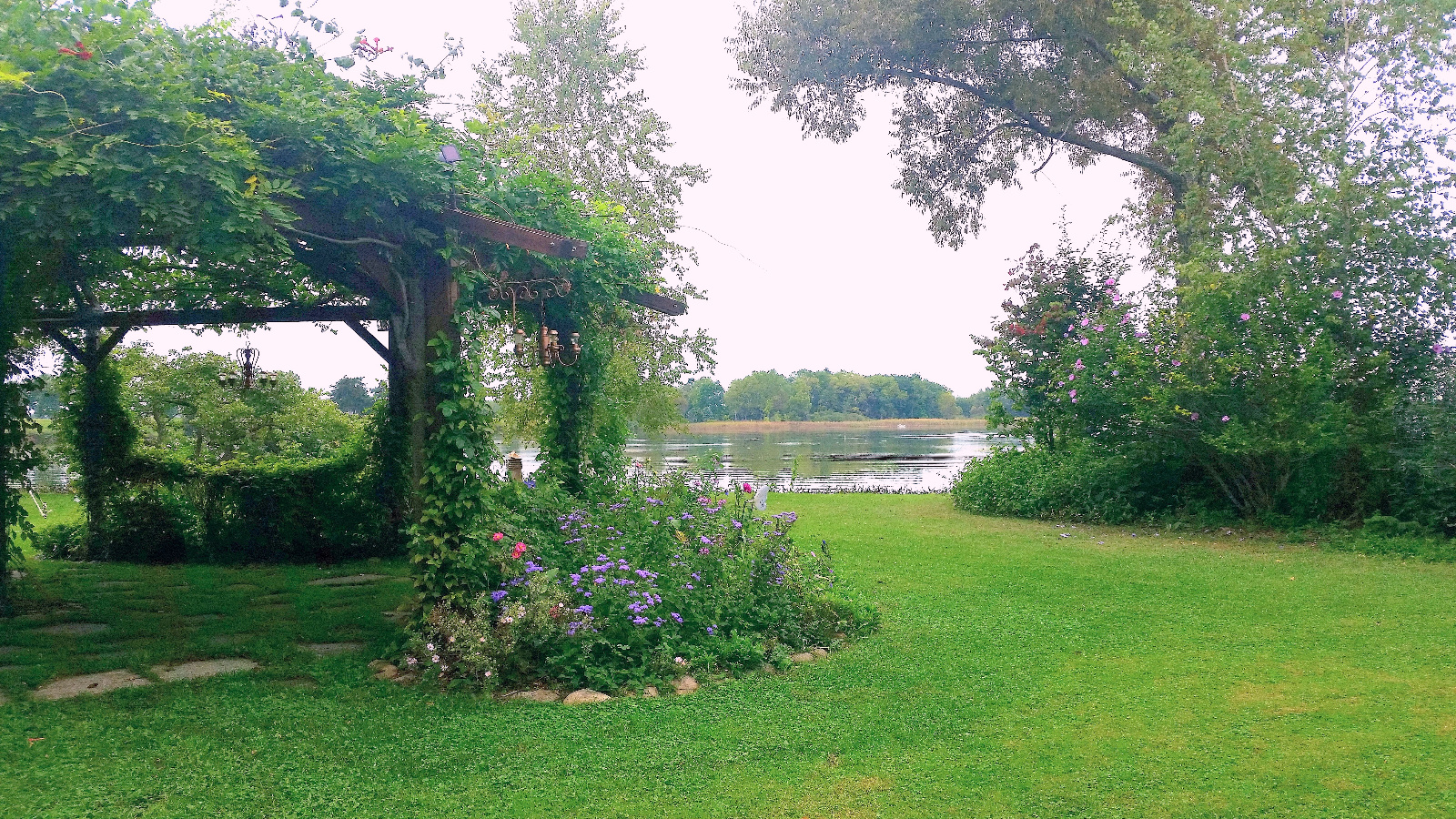 Blue perennial Ageratum, Aster, pink Anemone and Rose